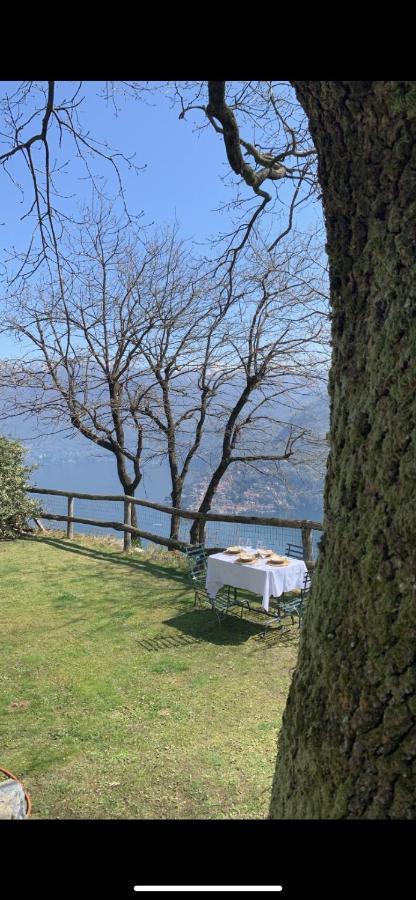 Il Riccio Appartamento Cernobbio Exterior foto